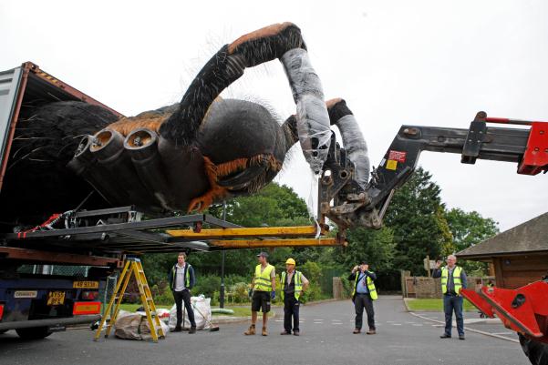 Chester Zoo News - Giant insect exhibition