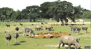 Africa Alive!