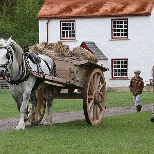 Chiltern Open Air Museum