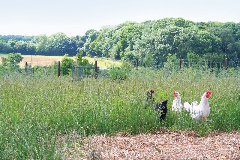 Church Farm, Stevenage, Hertfordshire.