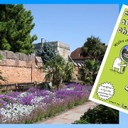 Curious About Chichester