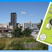 Curious About Sheffield