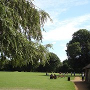 Frimley Lodge Park