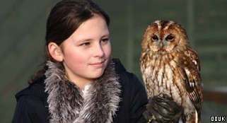 Gauntlet Birds of Prey Eagle and Vulture Park