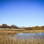 Potteric Carr Nature Reserve