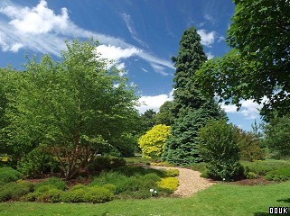 RHS Gardens Wisley