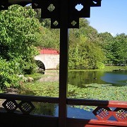 Chinese Hillside