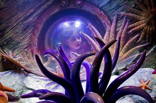 SEA LIFE London Aquarium