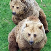 ZSL Whipsnade Zoo
