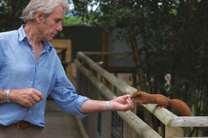 BWC News - squirrel
