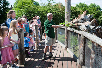 ZSL London Zoo News - Little Creatures Festival