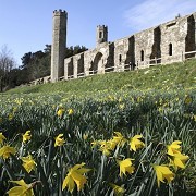 1066 Battle of Hastings, Abbey and Battlefield - © English Heritage Photo Library