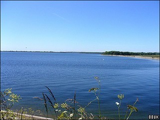 Abberton Reservoir Nature Reserve