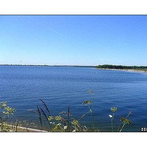 Abberton Reservoir Nature Reserve