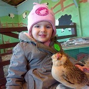 Acorn Farm