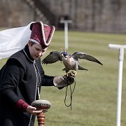 Alnwick Castle - © Sean Elliott