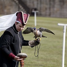 Alnwick Castle - &copy; Sean Elliott