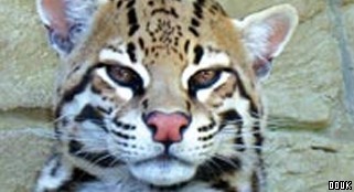 Amazon World Zoo Park