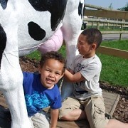 Barleylands Farm Park & Craft Village