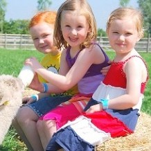 Barleylands Farm Park & Craft Village