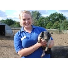 Barleylands Farm Park & Craft Village