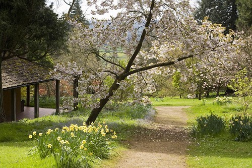Batsford Arboretum