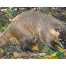 Battersea Park Children's Zoo