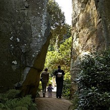 Belsay Hall, Castle & Gardens - &copy; English Heritage Photo Library