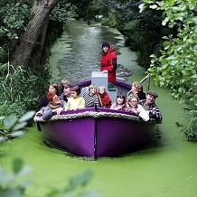 Bewilderwood