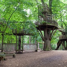 Bewilderwood