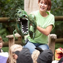 Bewilderwood