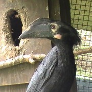 Birdworld