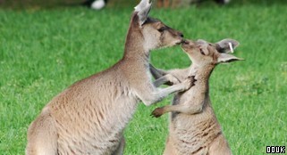 Blackpool Zoo