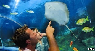 Blue Reef Aquarium in Hastings