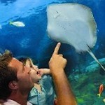 Blue Reef Aquarium in Hastings