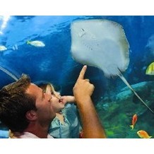 Blue Reef Aquarium in Hastings