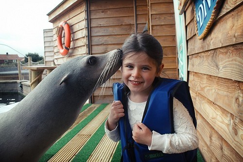 Blue Reef Aquarium in Tynemouth