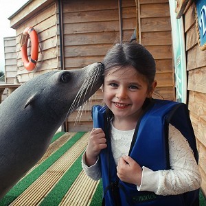 Blue Reef Aquarium in Tynemouth