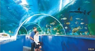 Blue Reef Aquarium Newquay