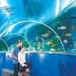 Blue Reef Aquarium Newquay
