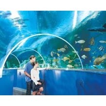 Blue Reef Aquarium Newquay