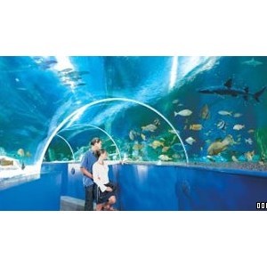 Blue Reef Aquarium Newquay