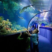 Bristol Aquarium