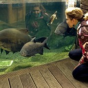 Bristol Aquarium