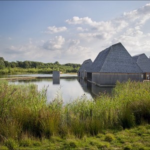 Brockholes Nature Reserve