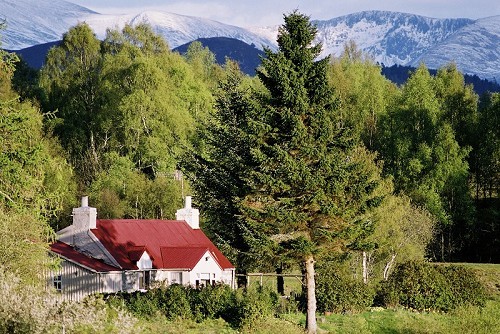 Cairngorms National Park - Avielochan