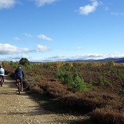 Cairngorms National Park - Cycling on the Speyside Way to Boat of Garten