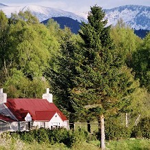 Cairngorms National Park - Avielochan