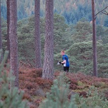Cairngorms National Park - Orinteering in a Nagach Woods