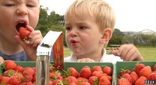 Cairnie Fruit Farm